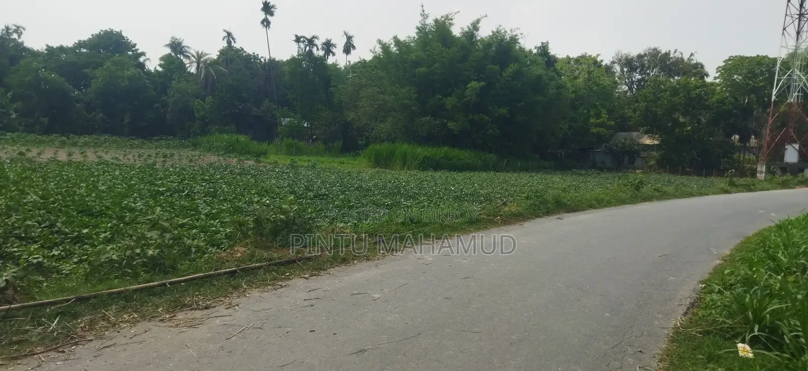 জমির বিবরণ: