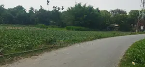 জমির বিবরণ: