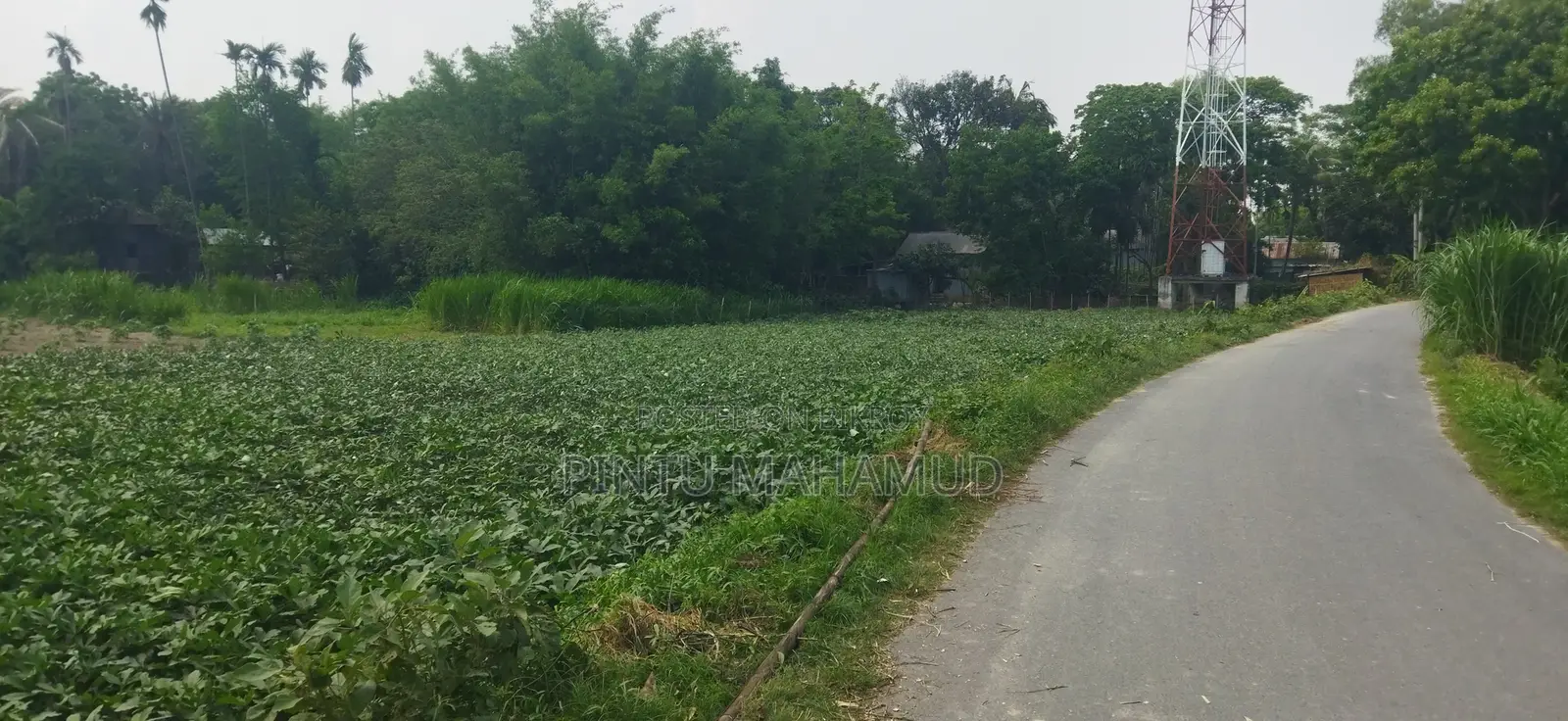 জমির বিবরণ: