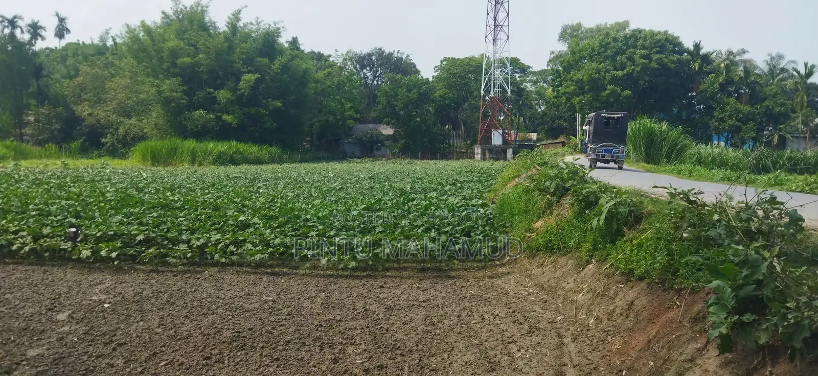 জমির বিবরণ: