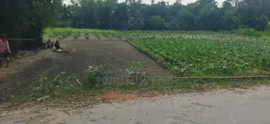 জমির বিবরণ: