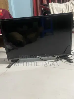24" Walton LED TV
