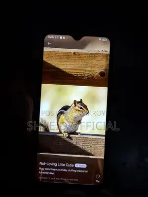 Vivo Y19 (Used)