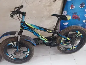 ফিনিক্স সাইকেল বিক্রয় হবে