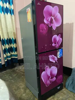 ওয়ালটন ফ্রিজার