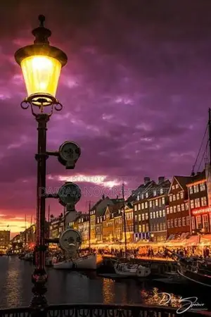 শেনজেন ভুক্ত Denmark এ সরকার অনুমোদিত G2G প্রক্রিয়ায় Packging নিয়োগ