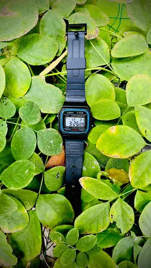 Casio Lightweight Watch