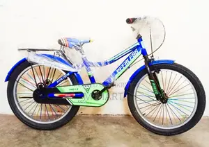 20" Peerless Sports Baby 8 to 16 Best Reconditioned Bicycle