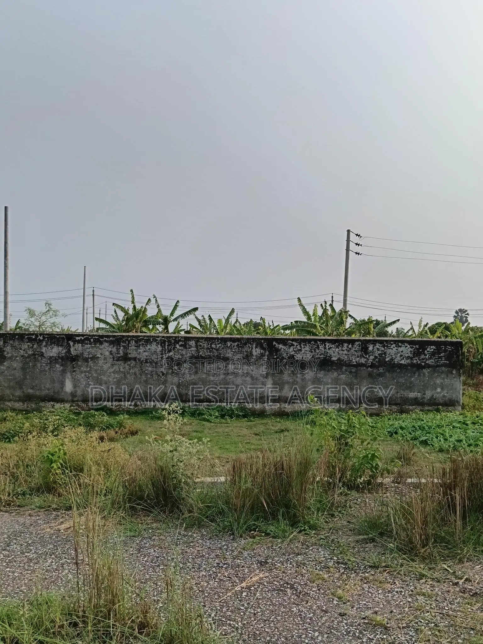 Sector 17D, মেট্রো স্টেশন এর পাশেই