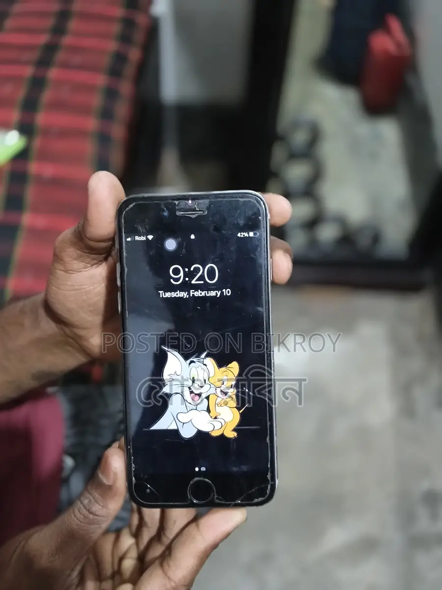 Apple iPhone 6S (Used)