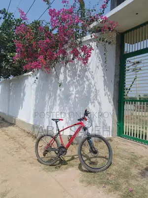 রাইডিং সাইকেল