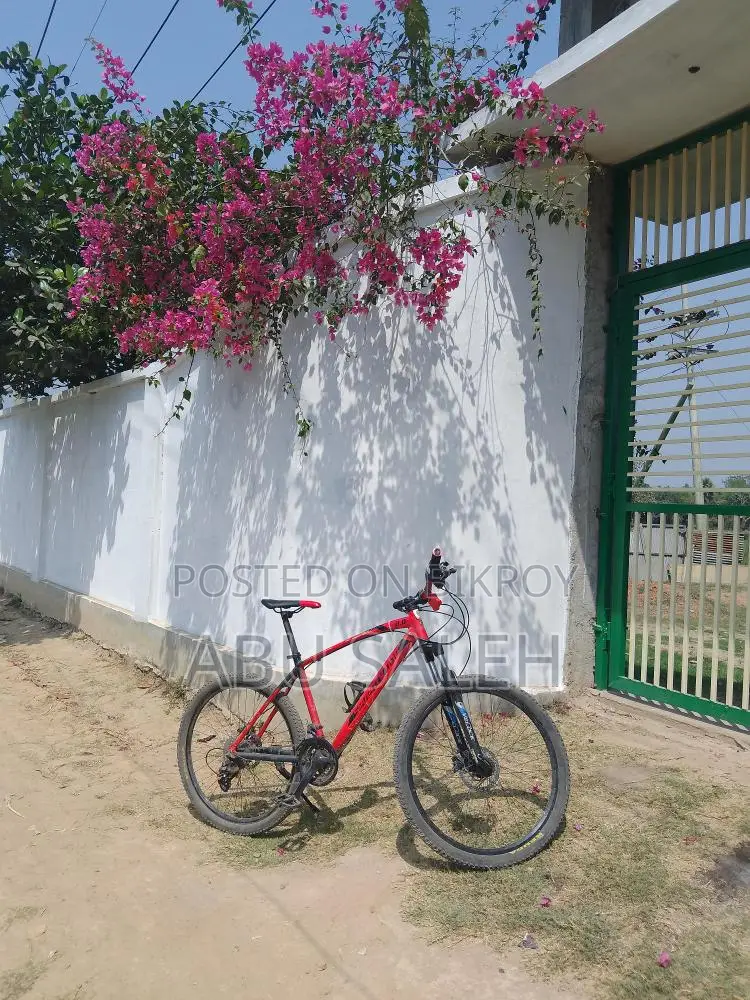 রাইডিং সাইকেল