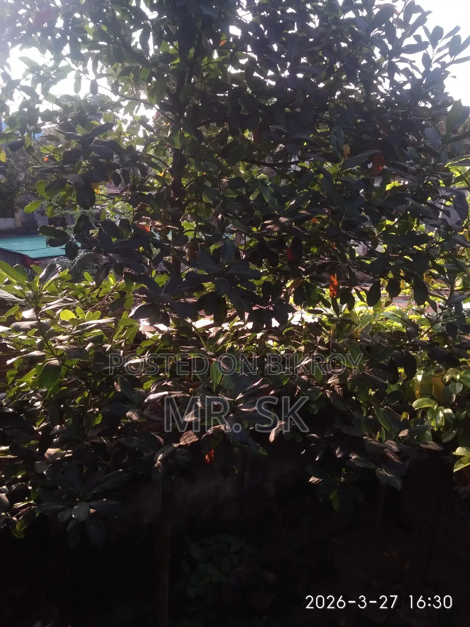 Land Sale 4 Sotok