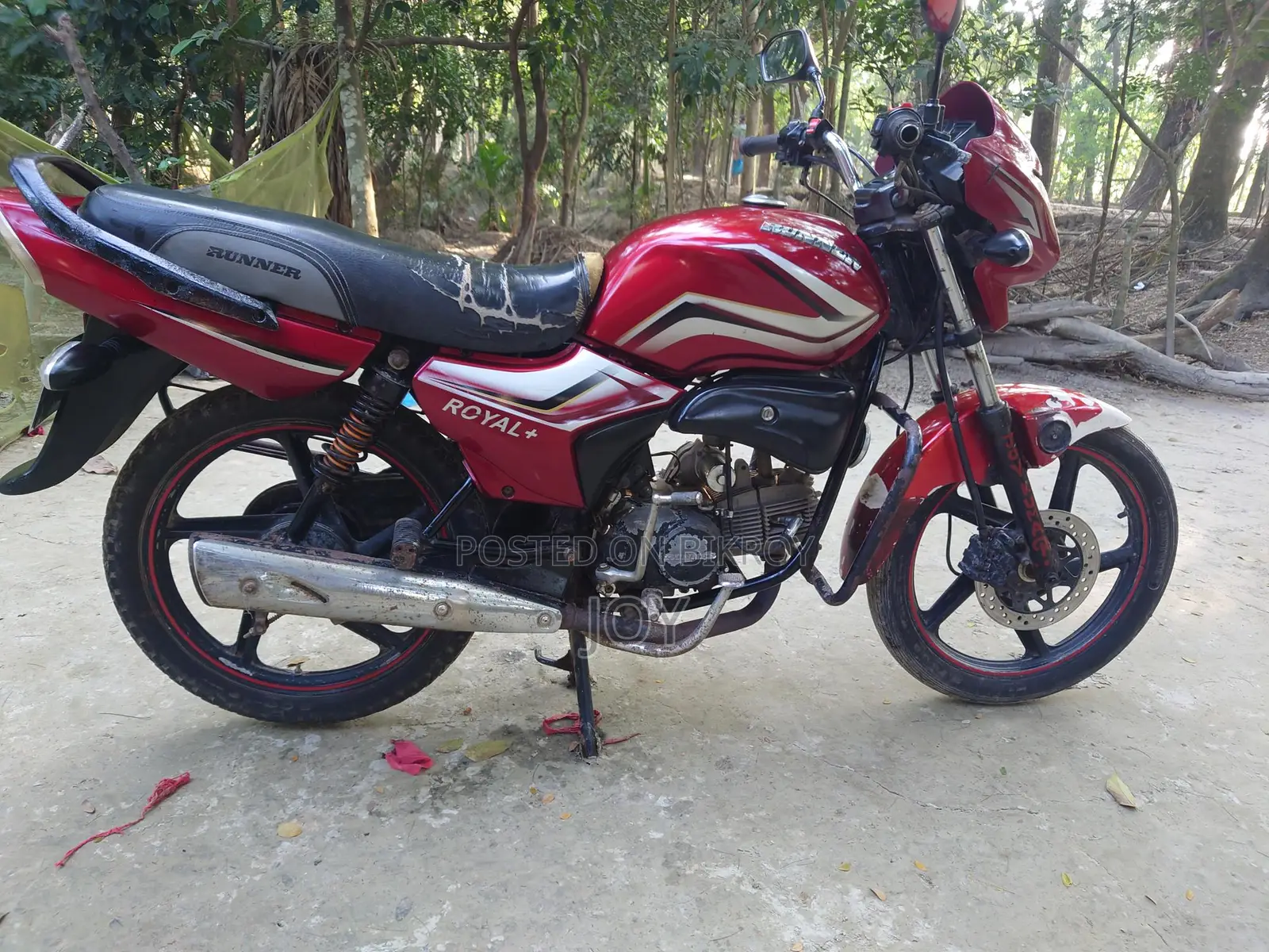 Runner Royal Plus 2018
