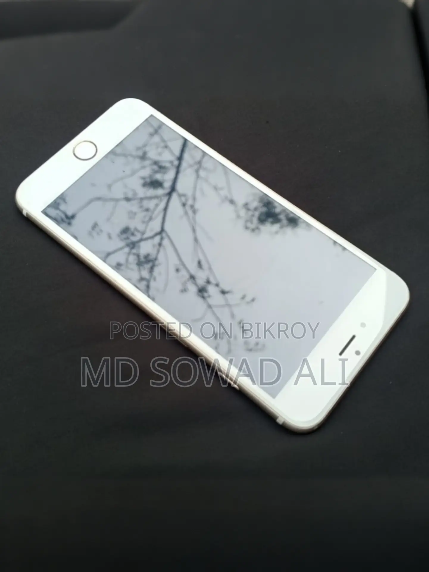 Apple iPhone 6S Plus (Used)