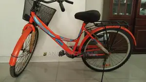 Duranta Cycle fresh 24 Inch