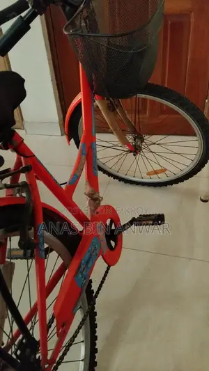Duranta Cycle fresh 24 Inch