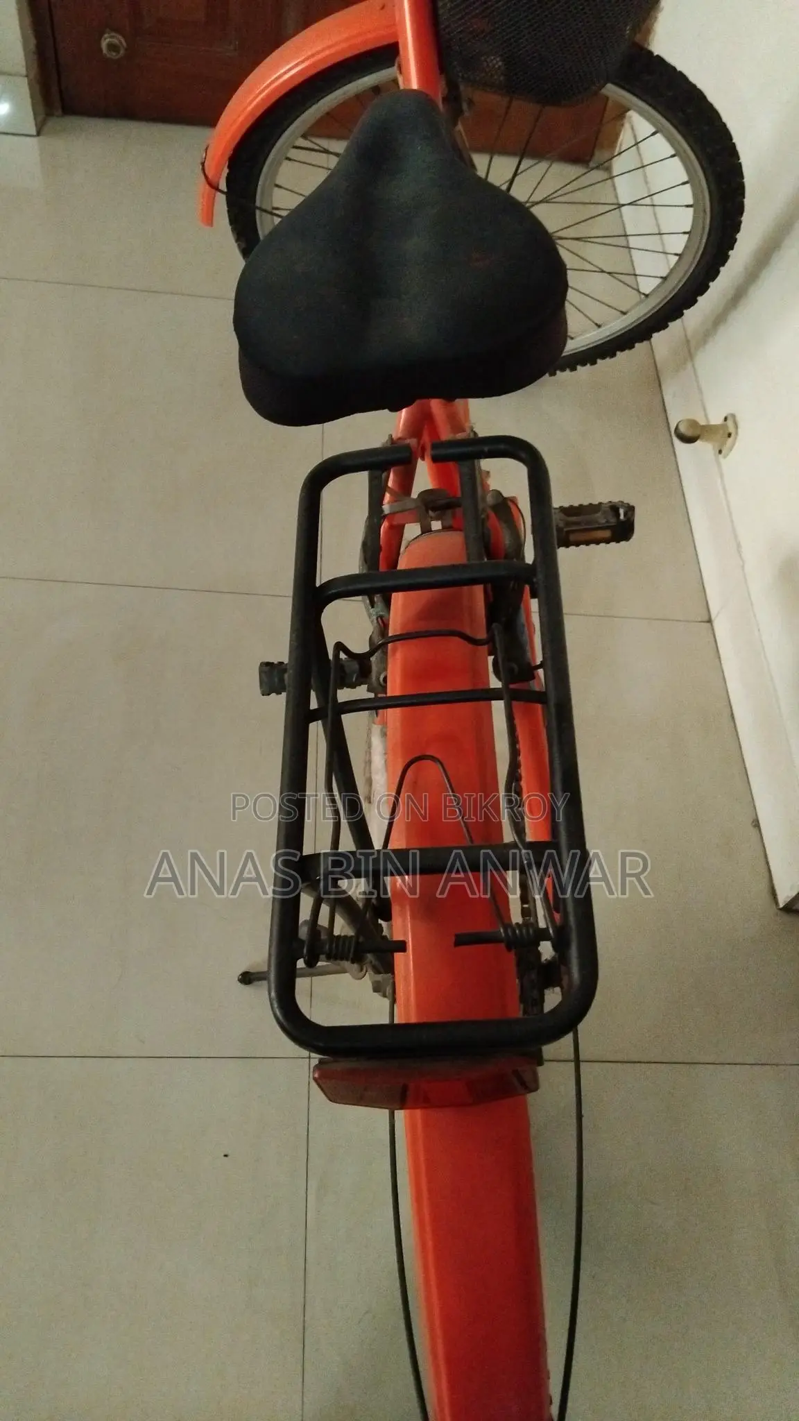 Duranta Cycle fresh 24 Inch