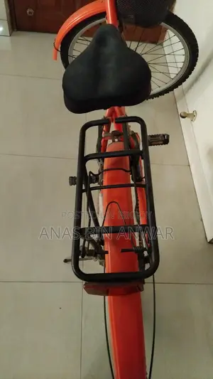 Duranta Cycle fresh 24 Inch