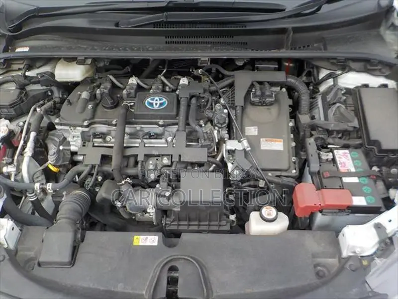 Toyota Corolla WXB Pearl 2021
