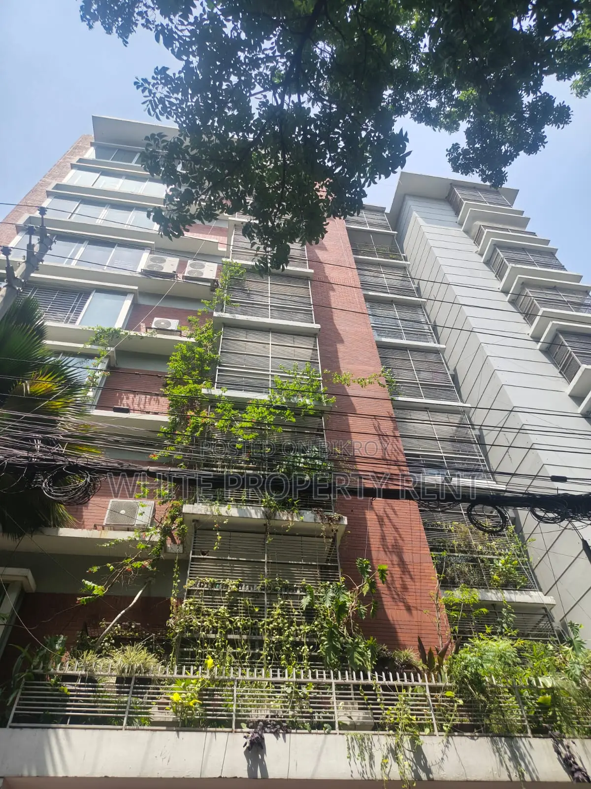 গুলশান ১-এ অ্যাপার্টমেন্ট ভাড়া