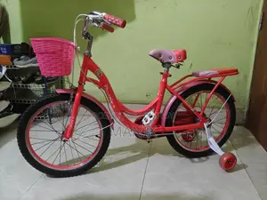 Notun Cycle 3 Din Chalano Hoise