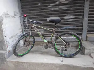 Phoenix Bicycle