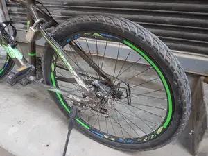 Phoenix Bicycle