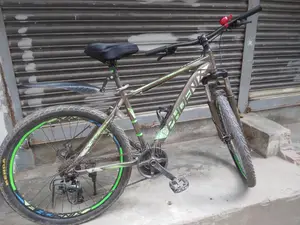 Phoenix Bicycle