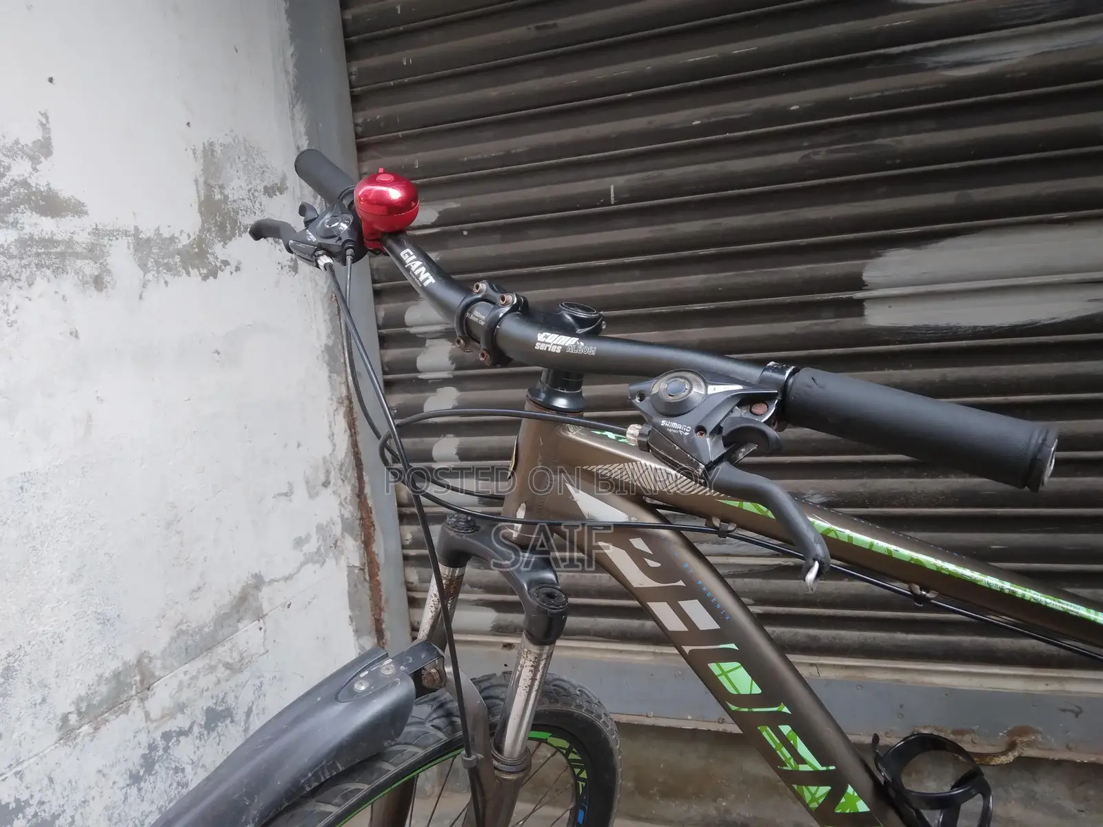Phoenix Bicycle