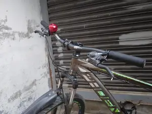 Phoenix Bicycle