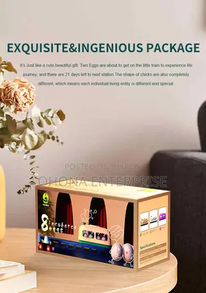 8 Egg Incubator