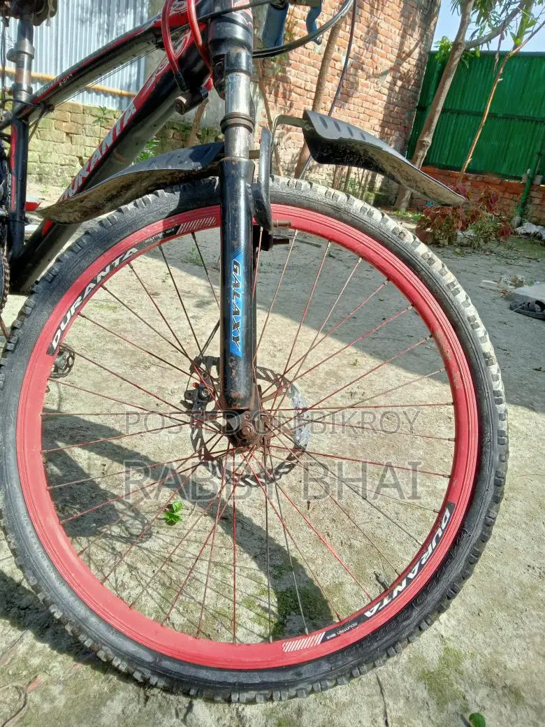 Bicycle for Sale