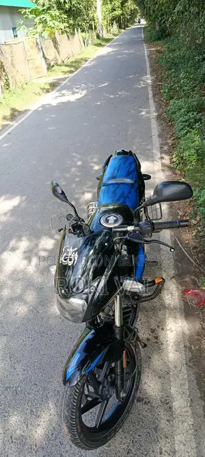 Bajaj Pulsar 150 . 2022