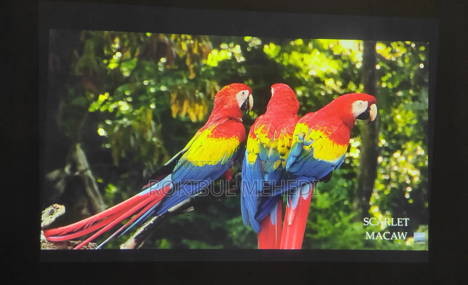 Epson Projector- EB-C3005WN Projector