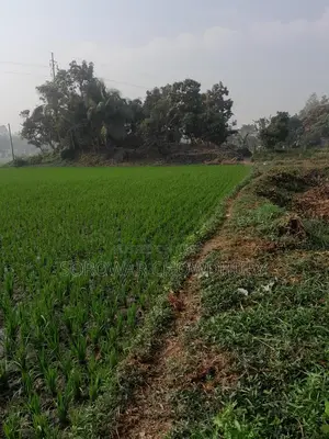 76 Decimals of Land for Sale in Sreenagar