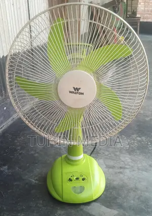 Walton Fan