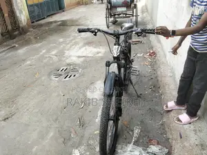 Phoenix Bicycle for sale