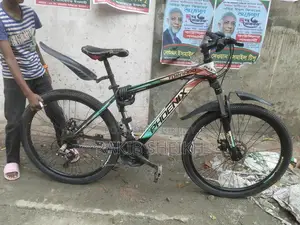 Phoenix Bicycle for sale