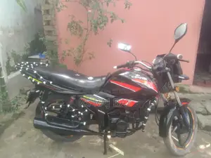 Zaara 100 . 2015