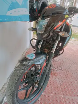 Bajaj Pulsar NS 160 2019