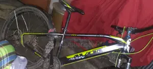 সাইকেলটা খুবই ভালো