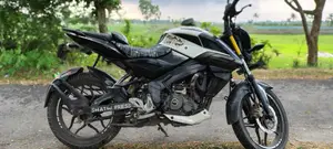Bajaj Pulsar NS 160 2019