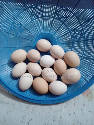 ১০০% পিওর দেশি মুরগির ডিম ‌