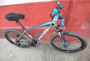 Aluminum Frame Cycle