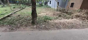 রাস্তা পাশে জায়গা কাগজ সম্পণ দেখে নিবেন