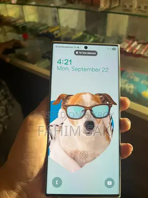 Samsung Galaxy S24 . (Used)