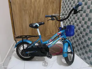 দুরন্ত বাইসাইকেল