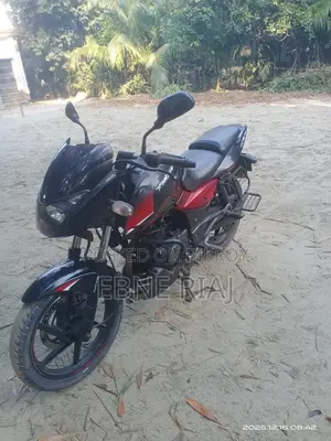 Bajaj Pulsar 150 . 2019