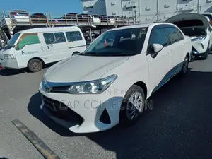 Toyota Axio EX 2020